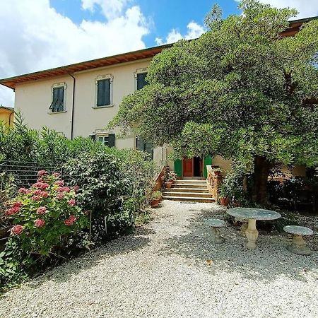 Just Outside The Wall: Free A/C, Bikes And Wifi Lucca Exterior photo