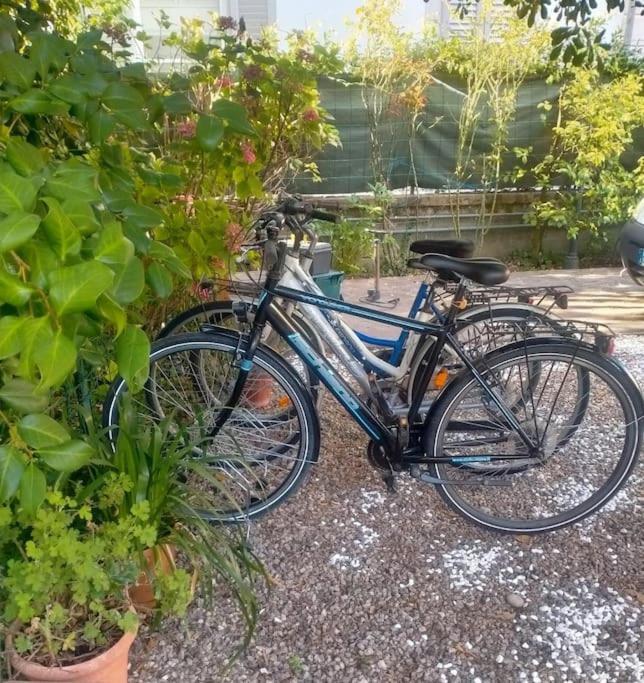 Just Outside The Wall: Free A/C, Bikes And Wifi Lucca Exterior photo